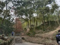 -东明山森林公园