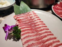 -禄婶鸡煲·打边炉