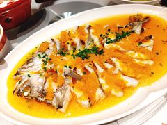 黄椒酱蒸白蕉海鲈鱼-大鸭梨烤鸭(望京店)