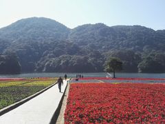 景点-广州市石门国家森林公园