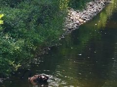 -长白岛森林公园