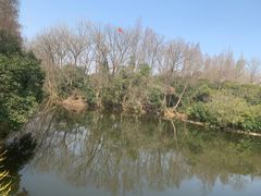 -上海滨江森林公园