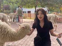 -水上乐园·欢乐世界