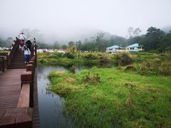 -海南热带雨林国家公园吊罗山景区