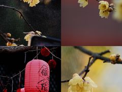 -钱王祠
