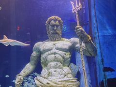 -正佳极地海洋世界
