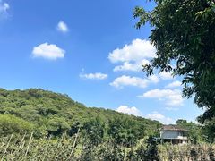 -李小龙乐园(顺德均安店)
