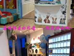 -龙格亲子游泳俱乐部(泊富中心)