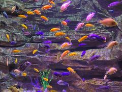 -多彩贵州城极地海洋世界