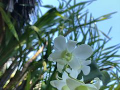 -自然餐厅(Phuket)