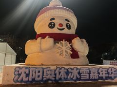 -沈阳奥体冰雪嘉年华