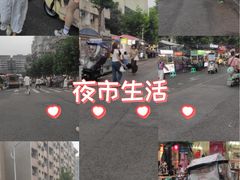 -四川农业大学(雅安校区)