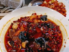 -北平盛世·新京菜·北京烤鸭(劲松·双井店)