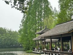 -运河游船(武林门码头)