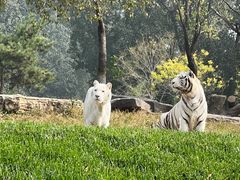 -北京野生动物园