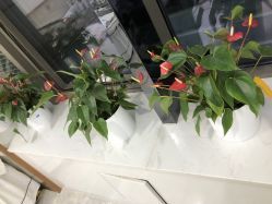 -悟空祛痘·诺奖技术专业店