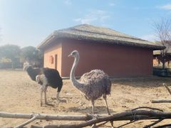 -祥源·阜阳生态乐园