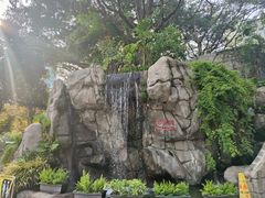 -九龙公园