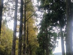 -井冈山风景名胜区