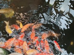-上海大自然野生昆虫馆