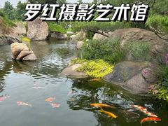 -罗红摄影艺术馆