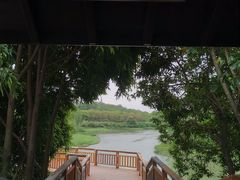 -广东花都湖国家湿地公园