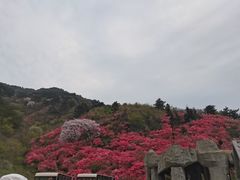 -木兰云雾山