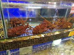 -欢乐海岸美食联盟