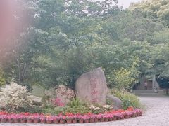 -苏州上方山国家森林公园