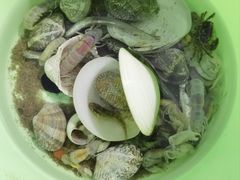 -北戴河东海水浴场