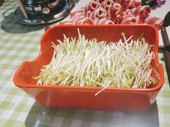 -番食园鲜食火锅(高新店)