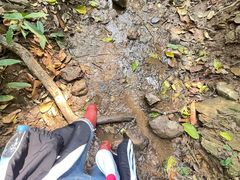 -西双版纳基诺山寨