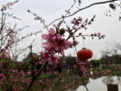 -洪湖家庭农场·团建·露营·会议