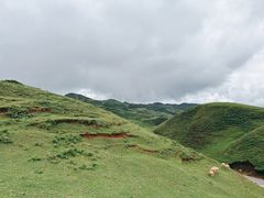 -乌蒙大草原