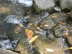 -中国茶叶博物馆(双峰馆区)