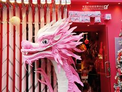 -溪岸路花鸟市场