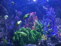 -海合安青岛极地海洋公园