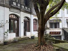 -两江国际影视城
