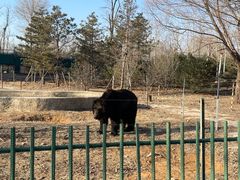 -秦皇岛野生动物园
