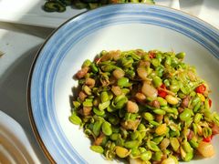 -食家鸽园