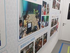 -斯坦星球AI编程·机器人科创·科学实验·信奥·思维·STEM·乐高·竞赛考级(长宁虹桥大融城荟聚中心)