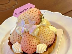 -花间烘焙BLossom Bakery