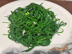 清炒沙葱-靖远尕六美味羊羔肉