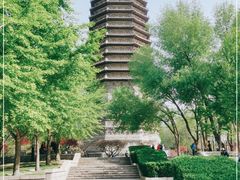 -玲珑塔公园