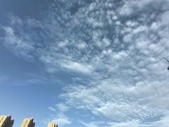 -木塔寺遗址生态公园