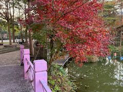 -田野绿世界