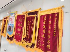 -北京派仕佳德动物医院·超导核磁·CT·神经科·骨科·内外科·急重症管理中心