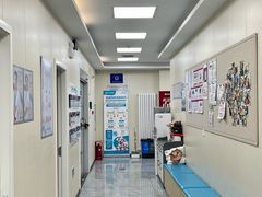 -美联众合爱康动物医院•复杂内科•肿瘤科•牙科•腔镜诊疗中心