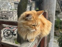 -大学习巷清真寺