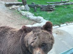 -北京野生动物园